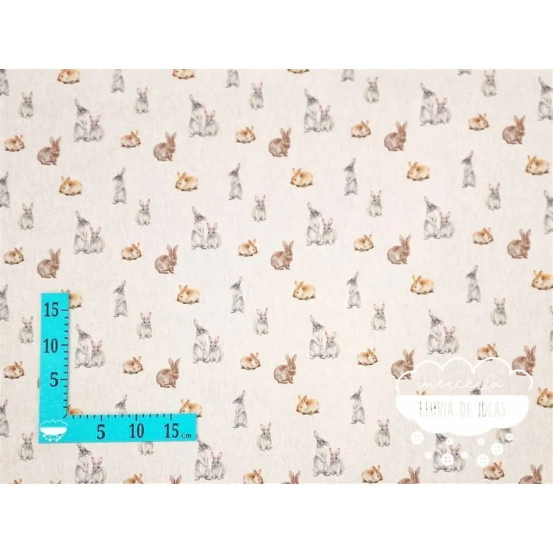 Culla Digital Conejos