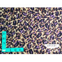Sarga viscosa - Leopardo