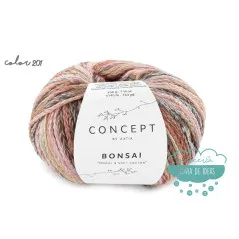 Hilo Bonsai Concept Katia