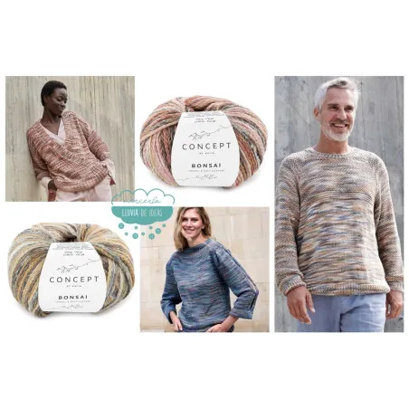 Hilo Bonsai Concept Katia