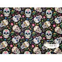 Stretch Calaveras