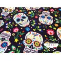 Stretch Calaveras