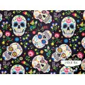 Stretch Calaveras