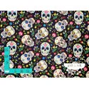 Stretch Calaveras