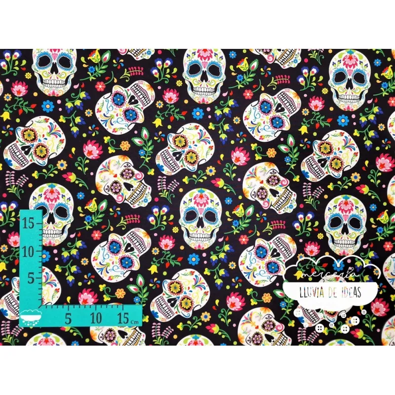 Stretch Calaveras