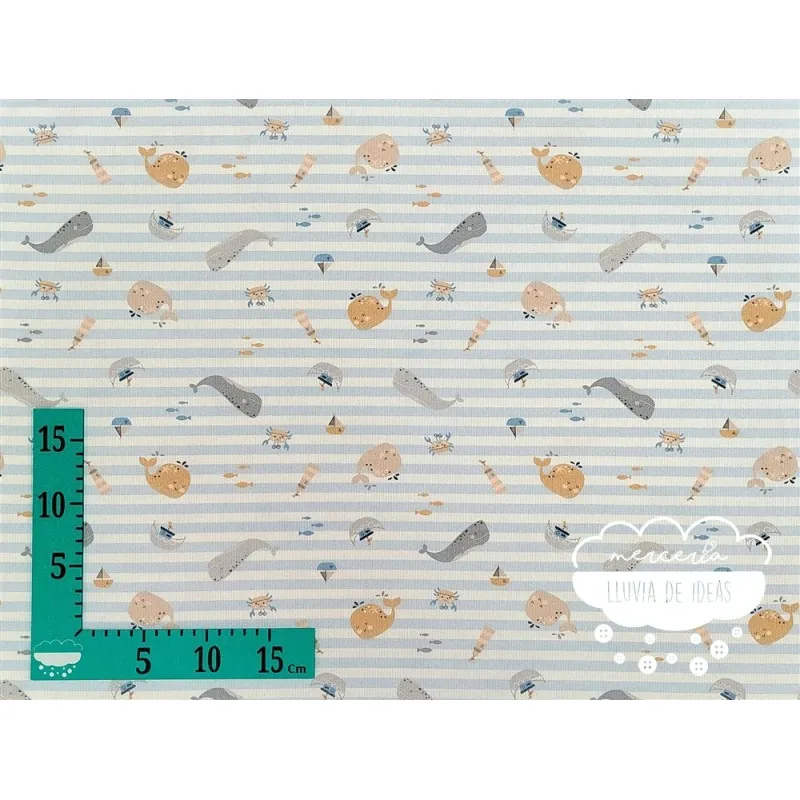 Piqué canutillo Marinero