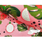 Loneta estampada Fruta Dragón Rosa Loneta estampada Fruta Dragón Rosa