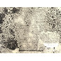 Raso estampado Dots Raso estampado Dots