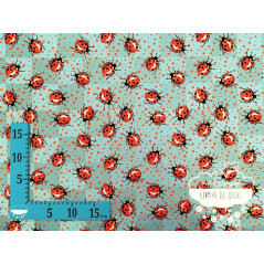 Mikado estampación digital Ladybug