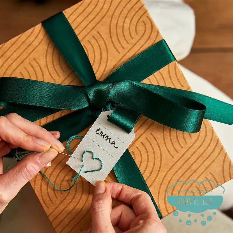 Punch Needle Kit DMC Zorro