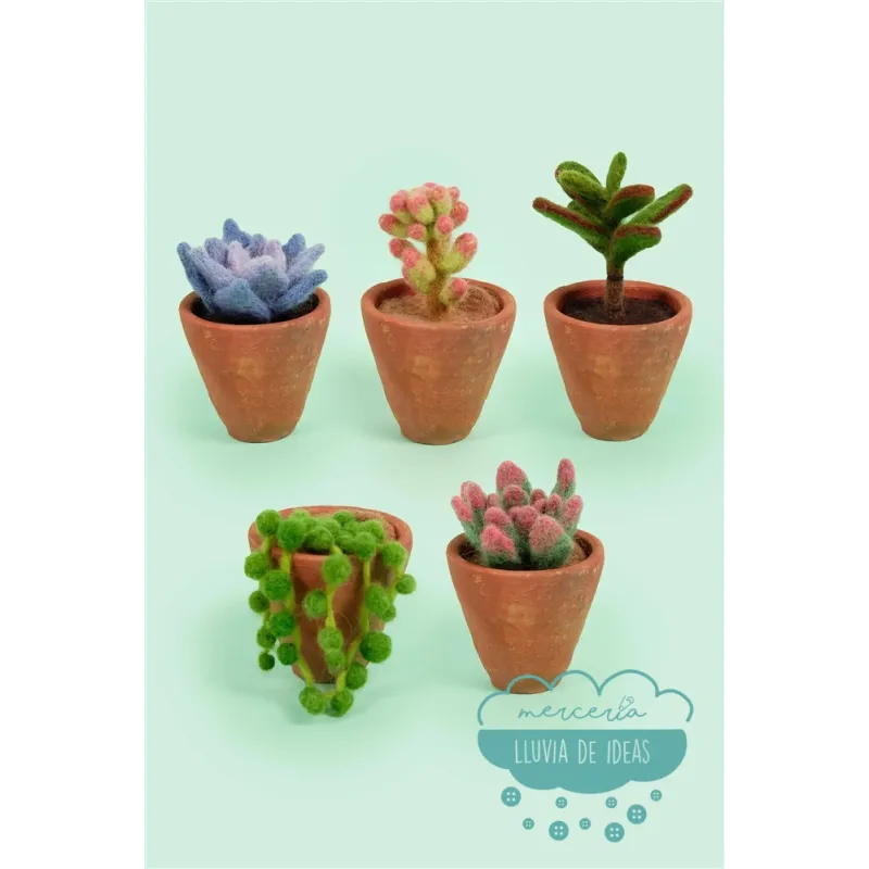 Patrones para fieltrar Libro cactus y suculentas DMC