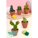 Patrones para fieltrar Libro cactus y suculentas DMC