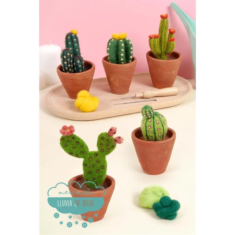 Patrones para fieltrar Libro cactus y suculentas DMC