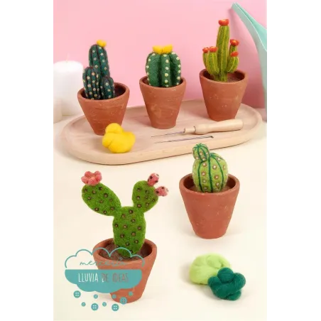 Patrones para fieltrar Libro cactus y suculentas DMC