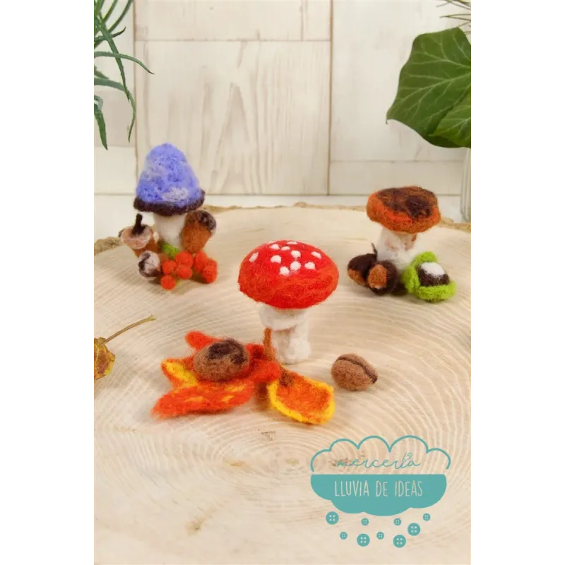 Kit para fieltrar Setas DMC