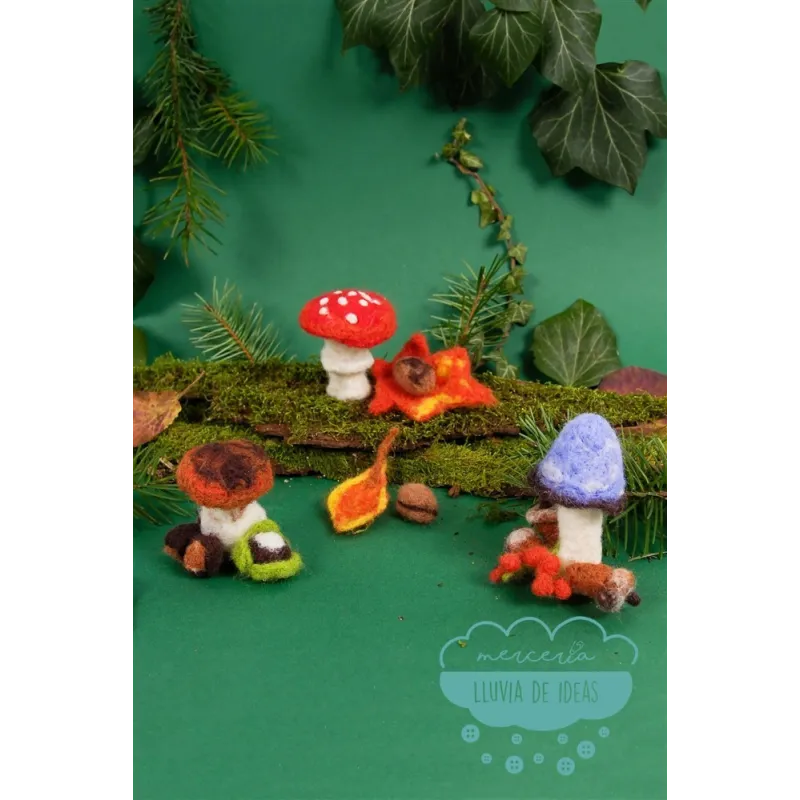 Kit para fieltrar Setas DMC