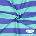 Canvas Rayas anchas Menta y azul