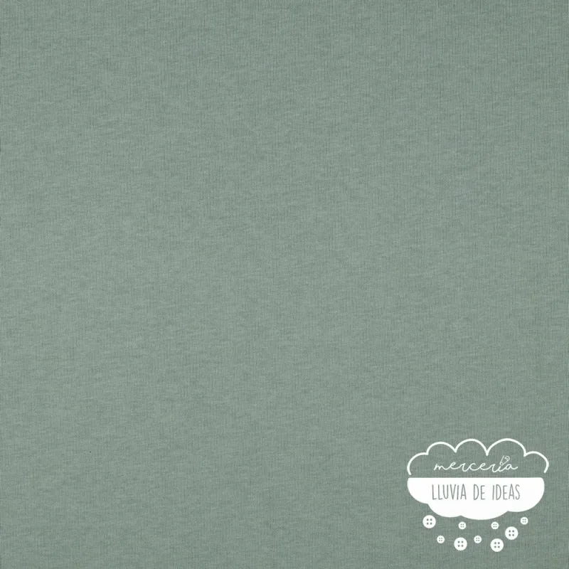 Punto sudadera liso perchado Color menta vintage