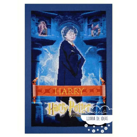 Kit punto de Cruz Harry Potter Cartel Película DMC