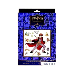 Kit punto de Cruz Harry Potter y las Pociones DMC