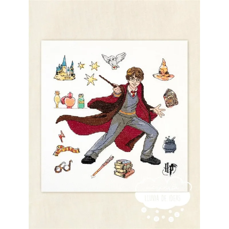 Kit punto de Cruz Harry Potter y las Pociones DMC
