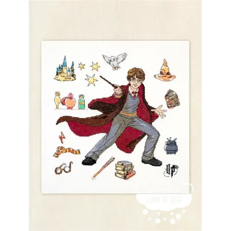 Kit punto de Cruz Harry Potter y las Pociones DMC