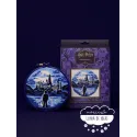 Kit Punch Needle Harry Potter Castillo de Hogwarts DMC