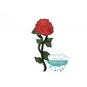 Parche bordado termoadhesivo - Rosa Rosae Mercería Lluvia de Ideas