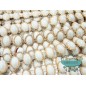 Pasamanería tipo cadeneta con perlas ovaladas - Serie Roman