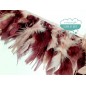 Fleco de plumas de gallo - Colores lisos y bicolores