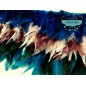 Fleco de plumas de gallo - Colores lisos y bicolores