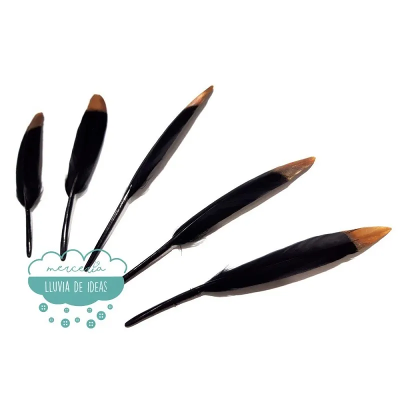 Pluma de pato negra con punta dorada