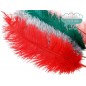 Pluma de avestruz - Varios colores Pluma de avestruz - Varios colores