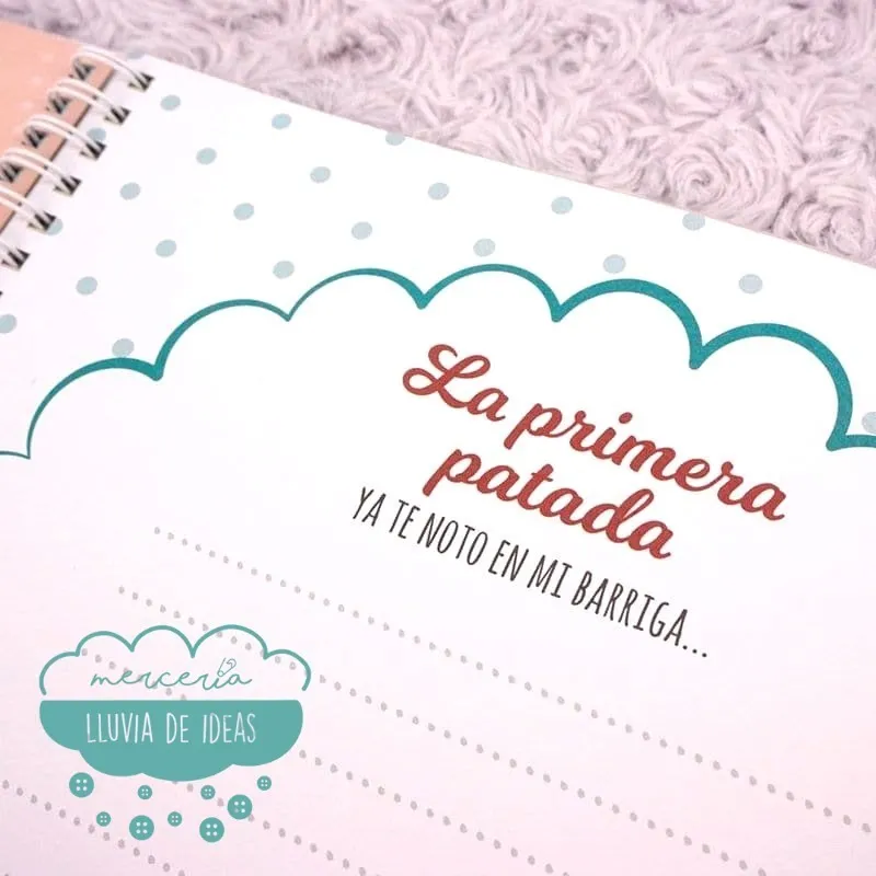 Diario de embarazo “Mi bollito está en el horno” + chupete de regalo