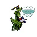 Parche bordado termoadhesivo - Aves sobre bambú Mercería Lluvia de Ideas