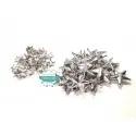 Tachas de estrellas con garras - Color plateado