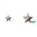 Tachas de estrellas con garras - Color plateado