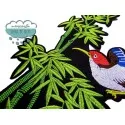 Parche bordado termoadhesivo - Aves sobre bambú Mercería Lluvia de Ideas