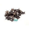 Tachas de estrellas con garras - Color oro viejo