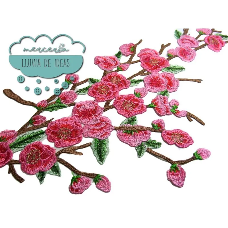 Aplicación bordada - Serie Esther Mercería Lluvia de Ideas