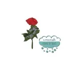 Aplicación bordada - Serie Rosa roja Mercería Lluvia de Ideas